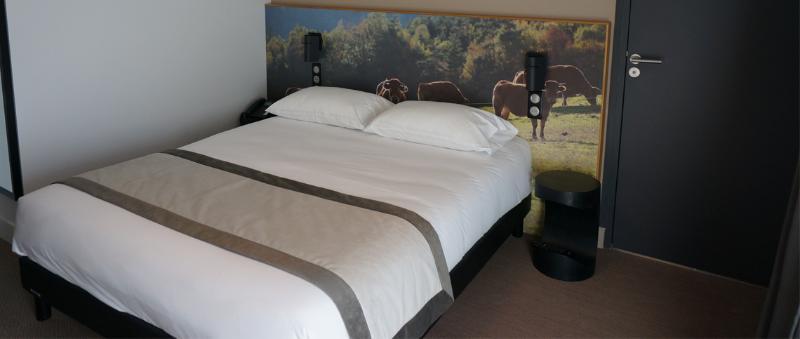 The Originals Relais Hotel Saint-Roch Salzuit ภายนอก รูปภาพ